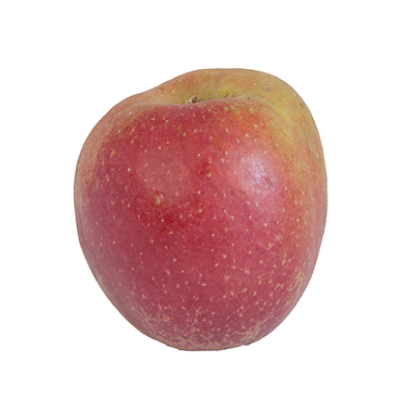 Boskoop