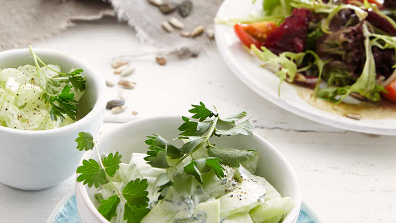 Frische-Rohkostsalate
