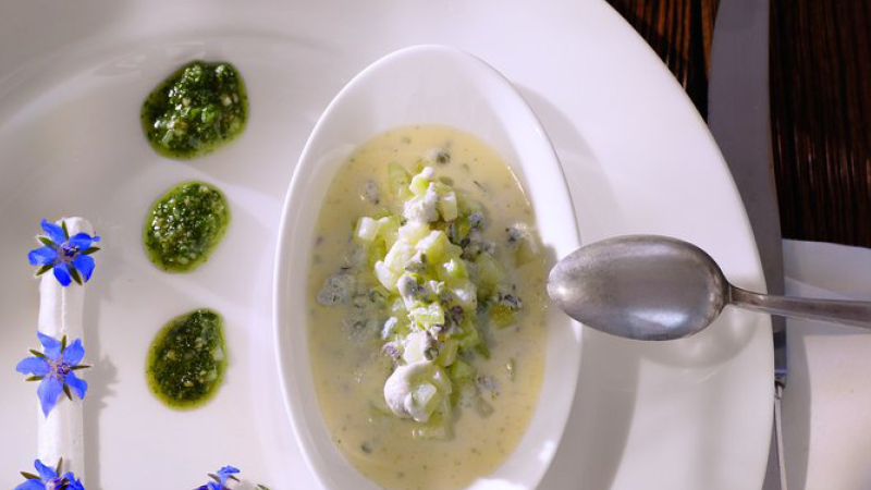 Gurken-Borretschkaltschale-mit-Borretschpesto-und-Ziegenfrischkaese
