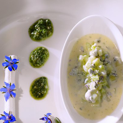 Gurken-Borretschkaltschale-mit-Borretschpesto-und-Ziegenfrischkaese
