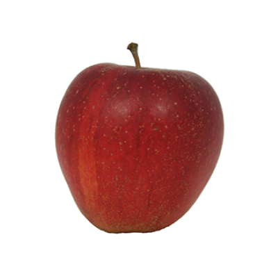 Wellant