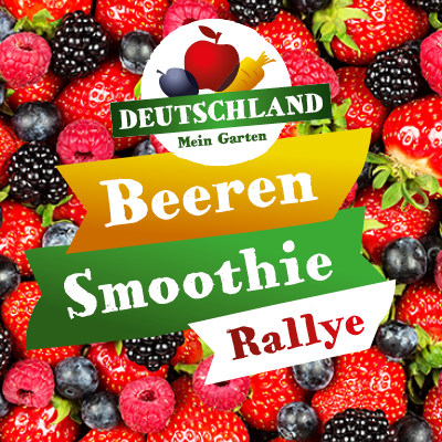 Beeren-Smoothie-Rallye