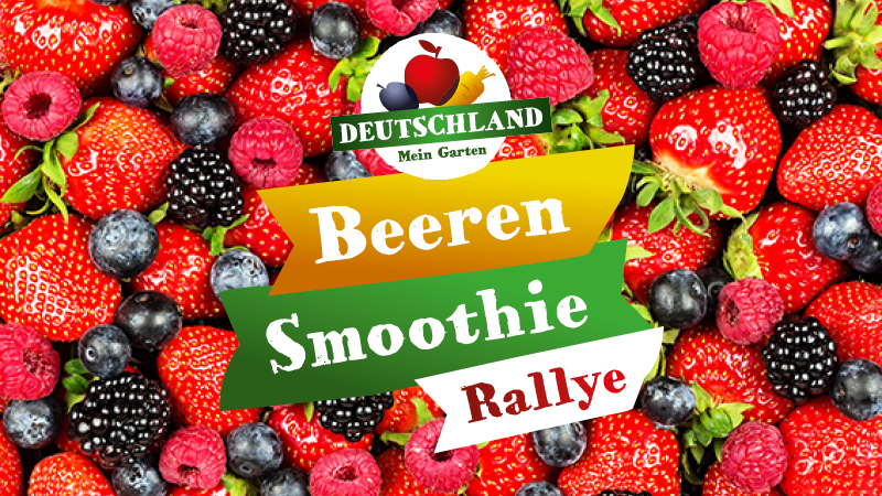Beeren Smoothie Bike Rallye BVEO