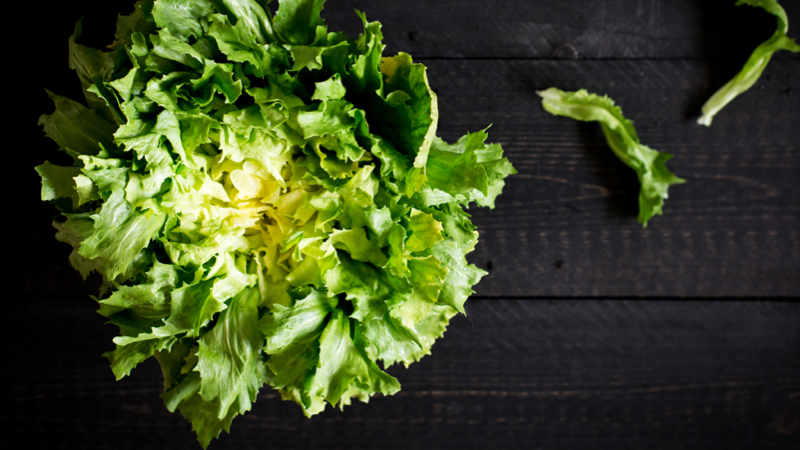 Endiviensalat