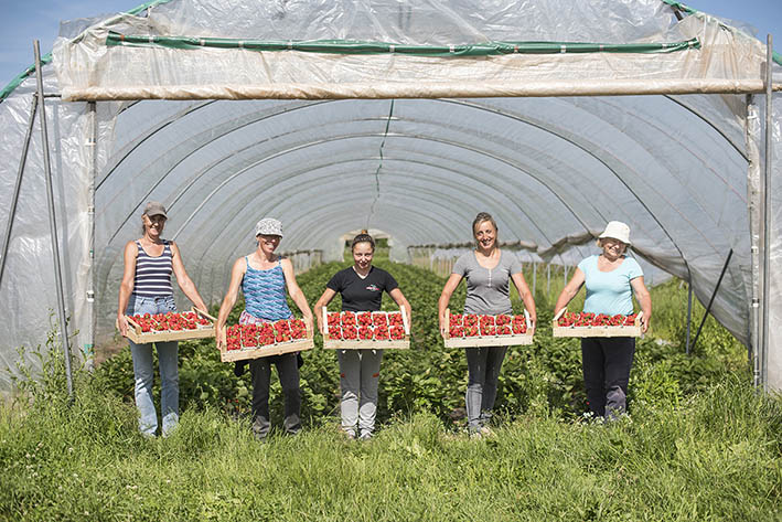 Zieglerhof Erdbeeren, Mitarbeiter
