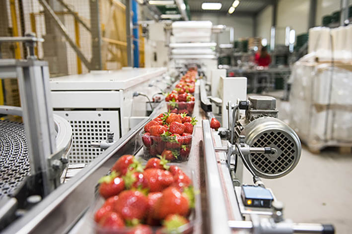 Erdbeeren Verpackungsband