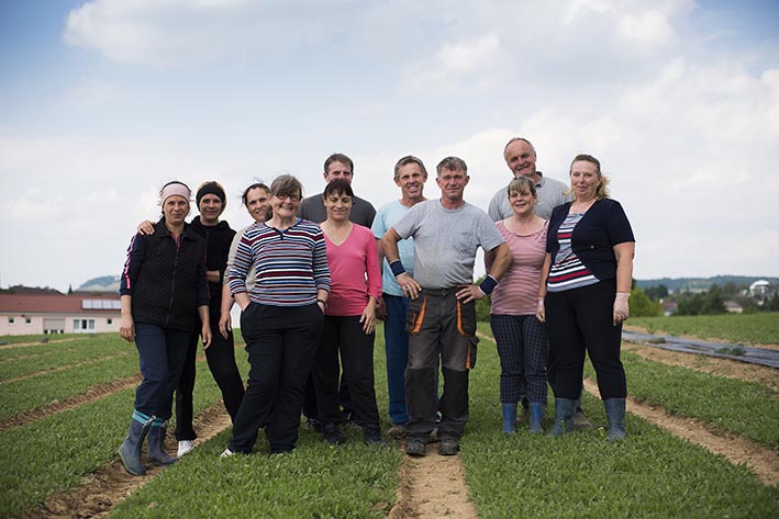 Team Familie Traub, Rucola Ernte 2017
