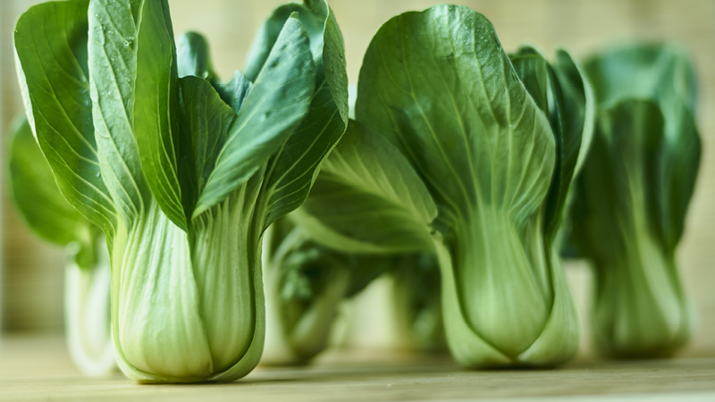 PakChoi