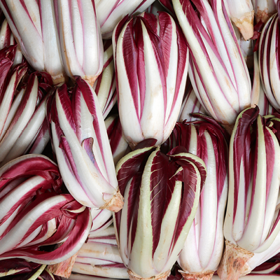 Radicchio