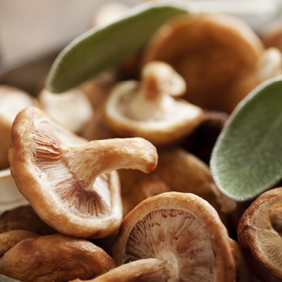 Shiitake