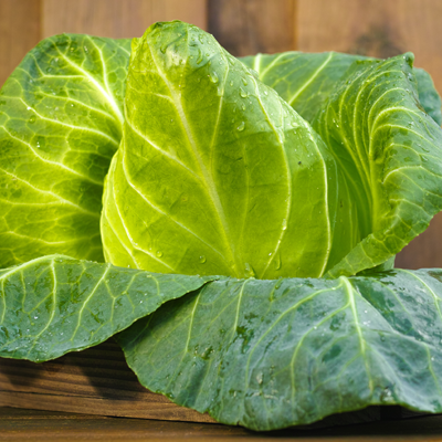 Spitzkohl