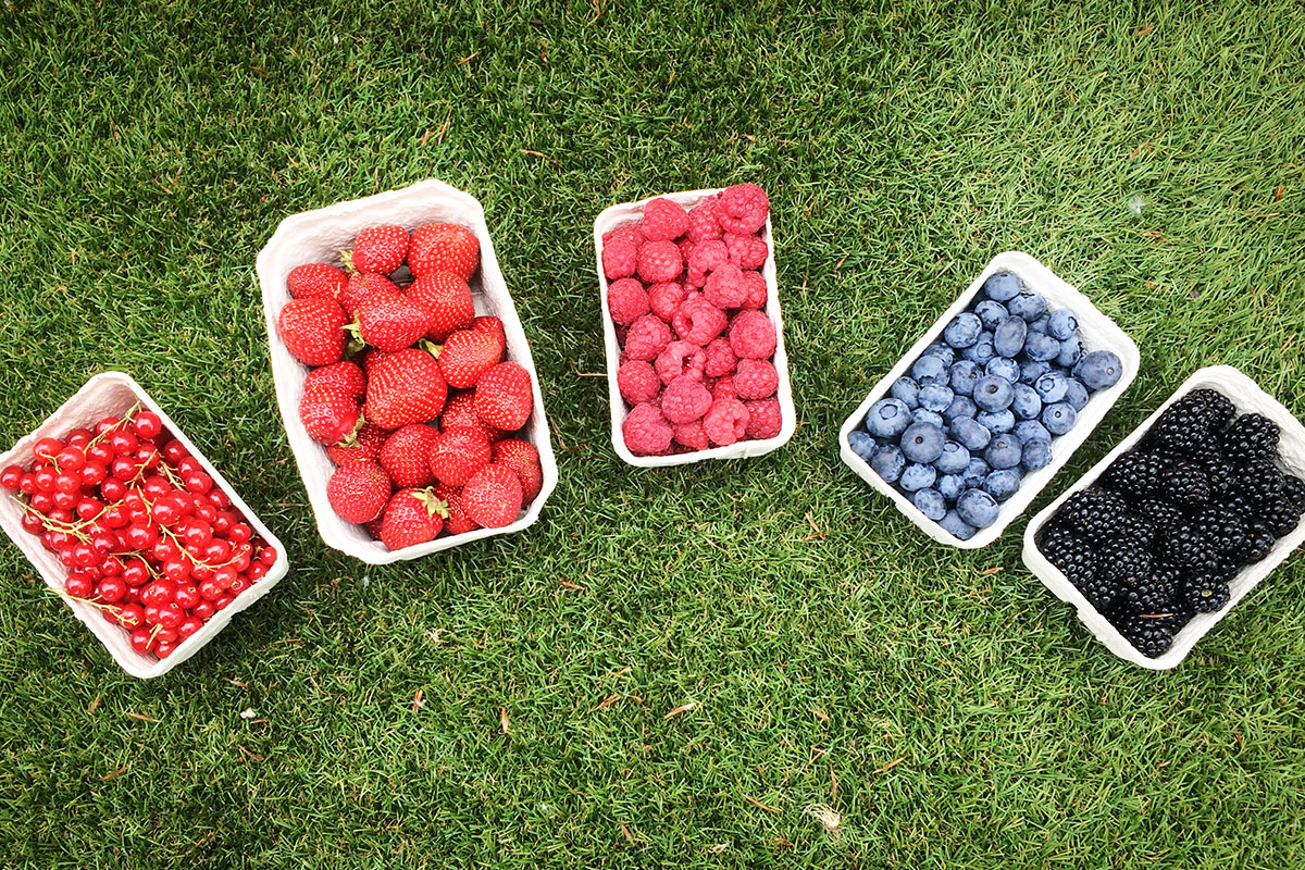 BVEO Beeren-Smoothie-Bike-Tour 2017