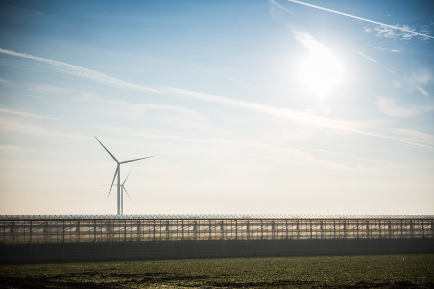 Windräder Blauer Himmel Gewächshäuser