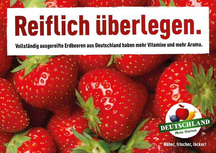 Frische Erdbeeren