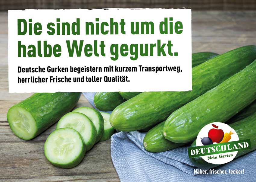 Frische Gurke