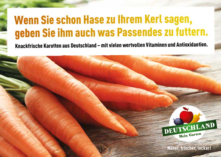 Frische Karotten