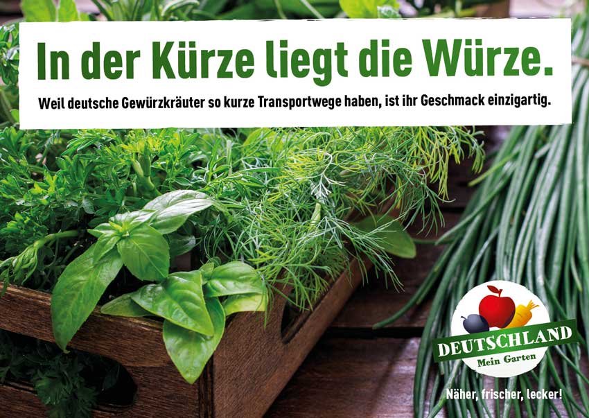 Frische Kräuter