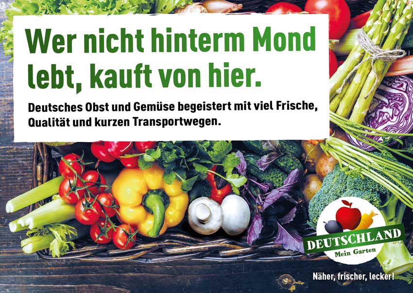 Korb voller frischem Obst und Gemüse