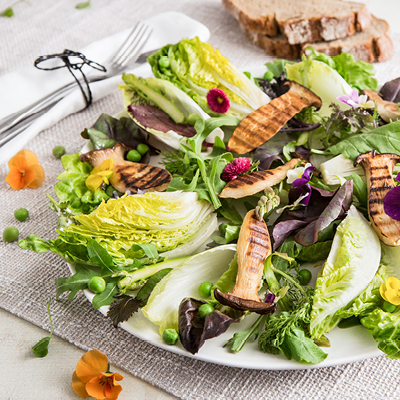 Pilze-Kräuter-Salat