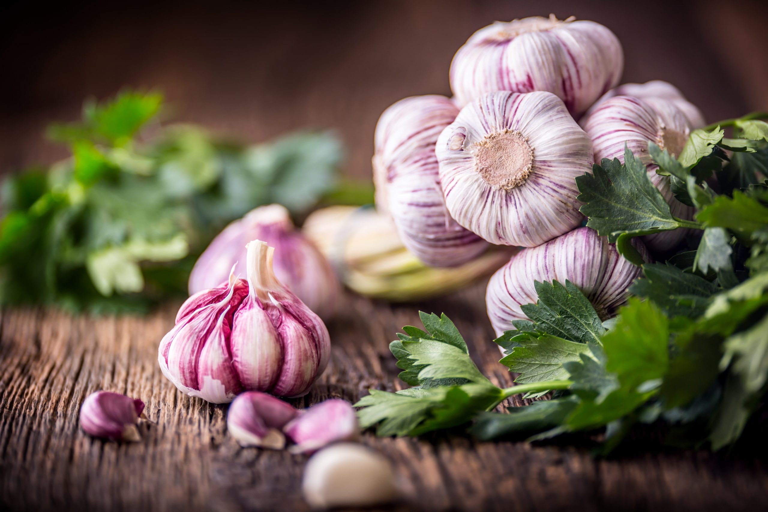 Frischer Knoblauch