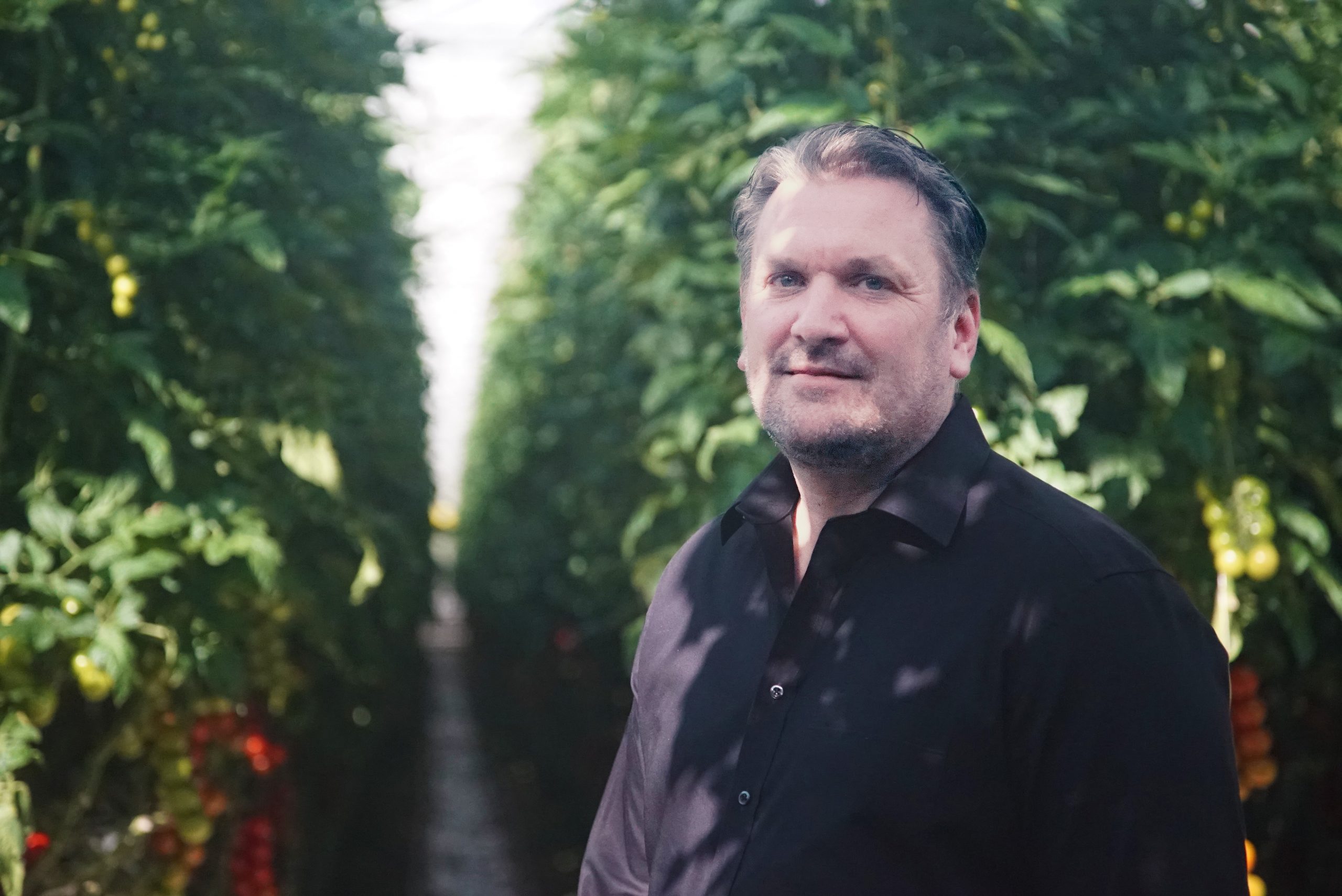Carsten Knodt von der Neurather Gärtner GbR im Tomatenhaus