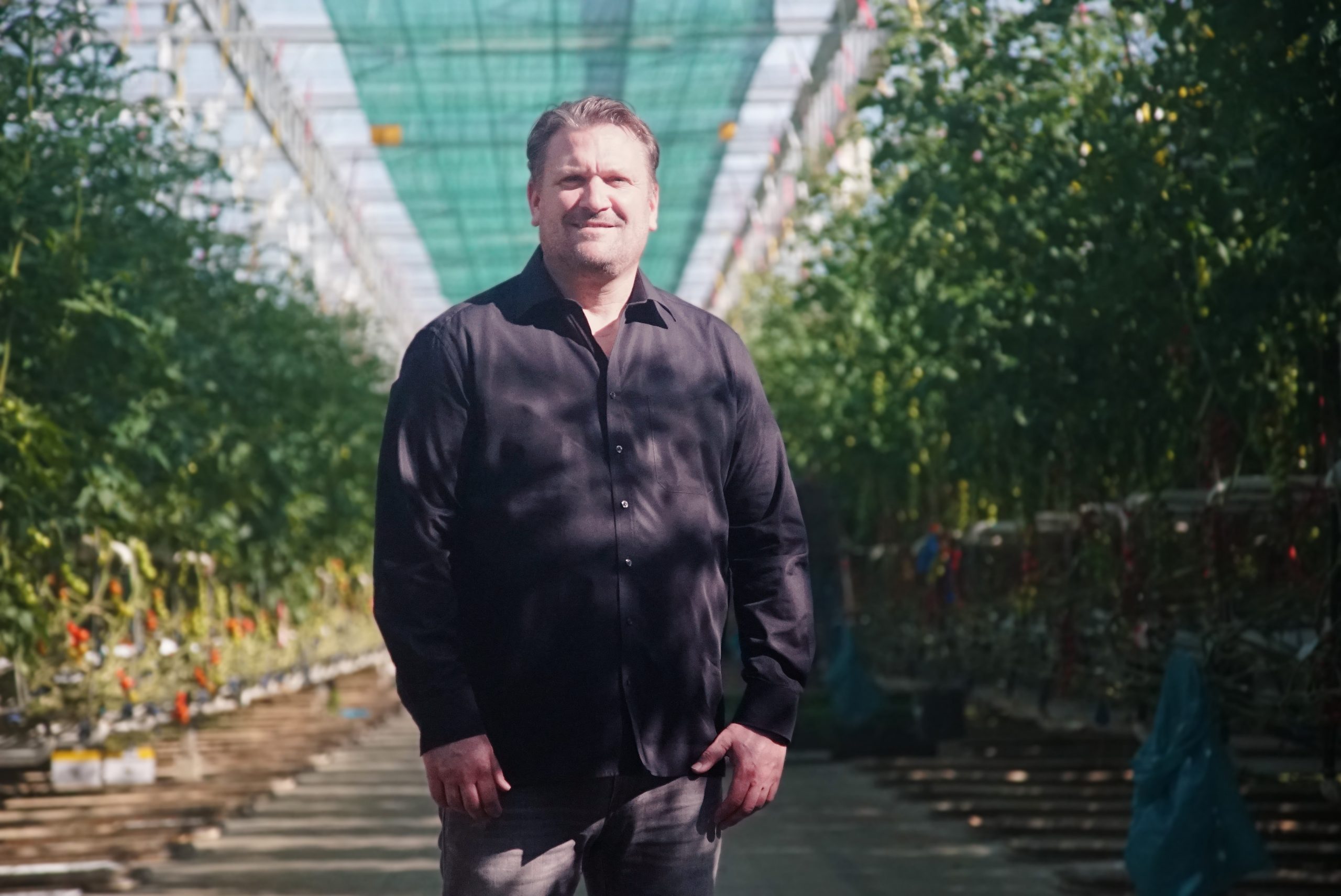 Carsten Knodt von der Neurather Gärtner GbR im Tomatenhaus
