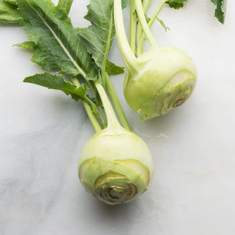 Frischer Kohlrabi