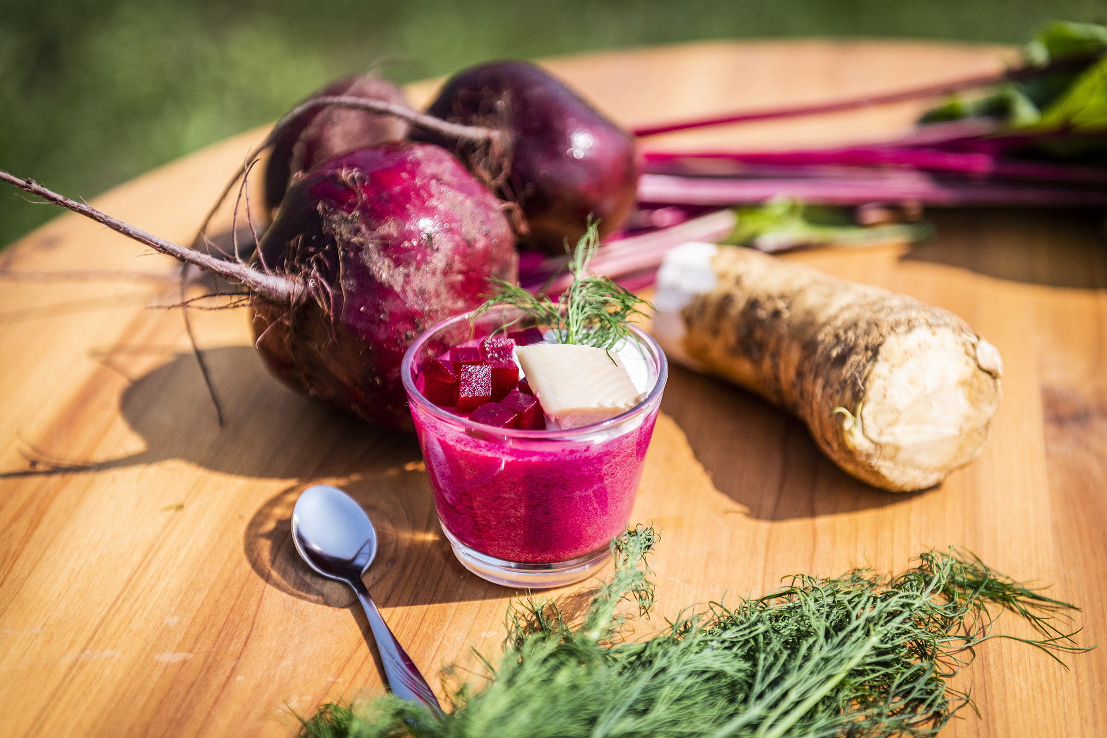Angerichtetes Rote Bete Mousse mit Meerrettich und Forelle