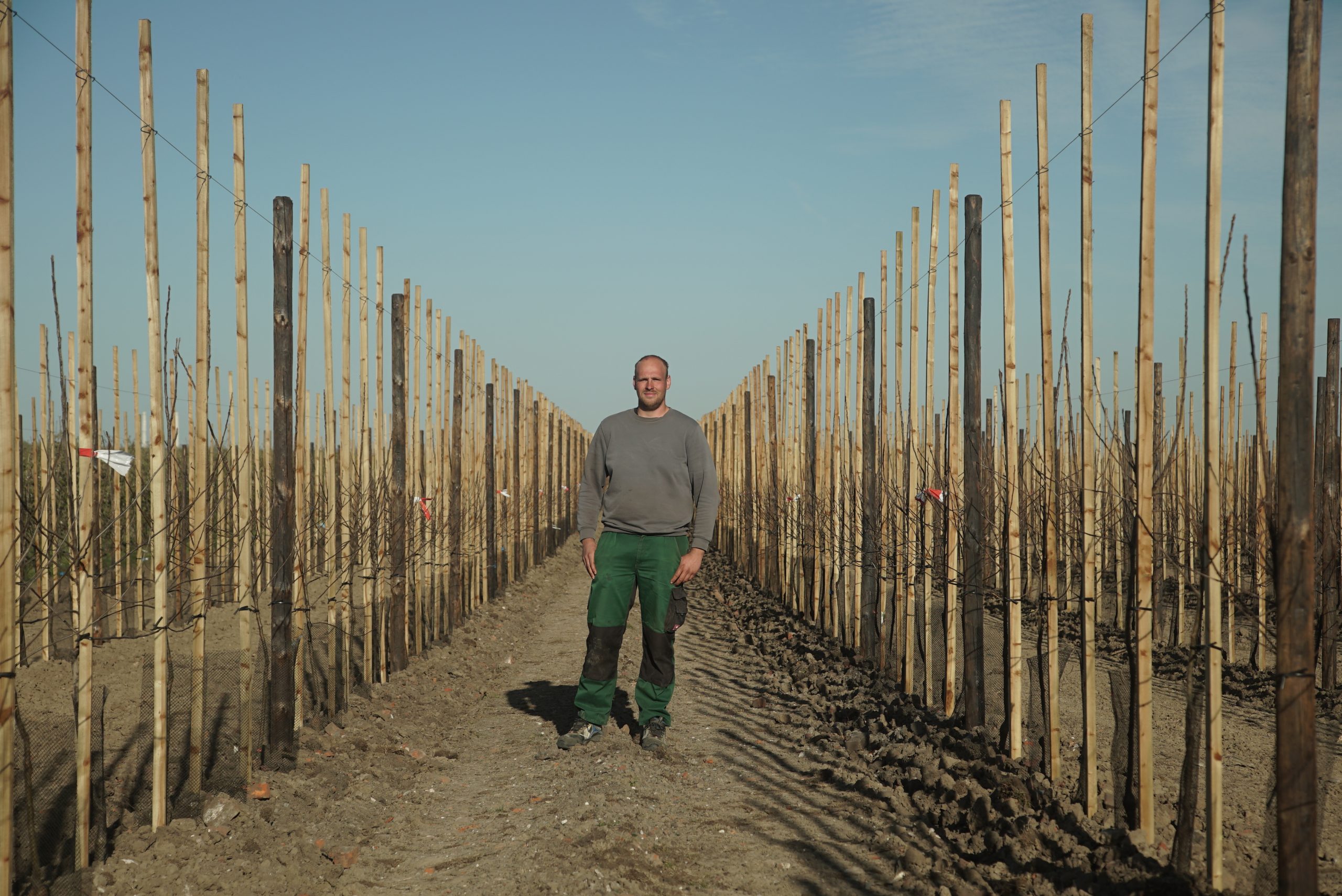 Jan Henrik Börger auf der neuen Apfelplantage in Mittelnkirchen