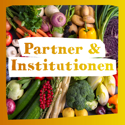 Partner- und Partnerinstitutionen der BVEO